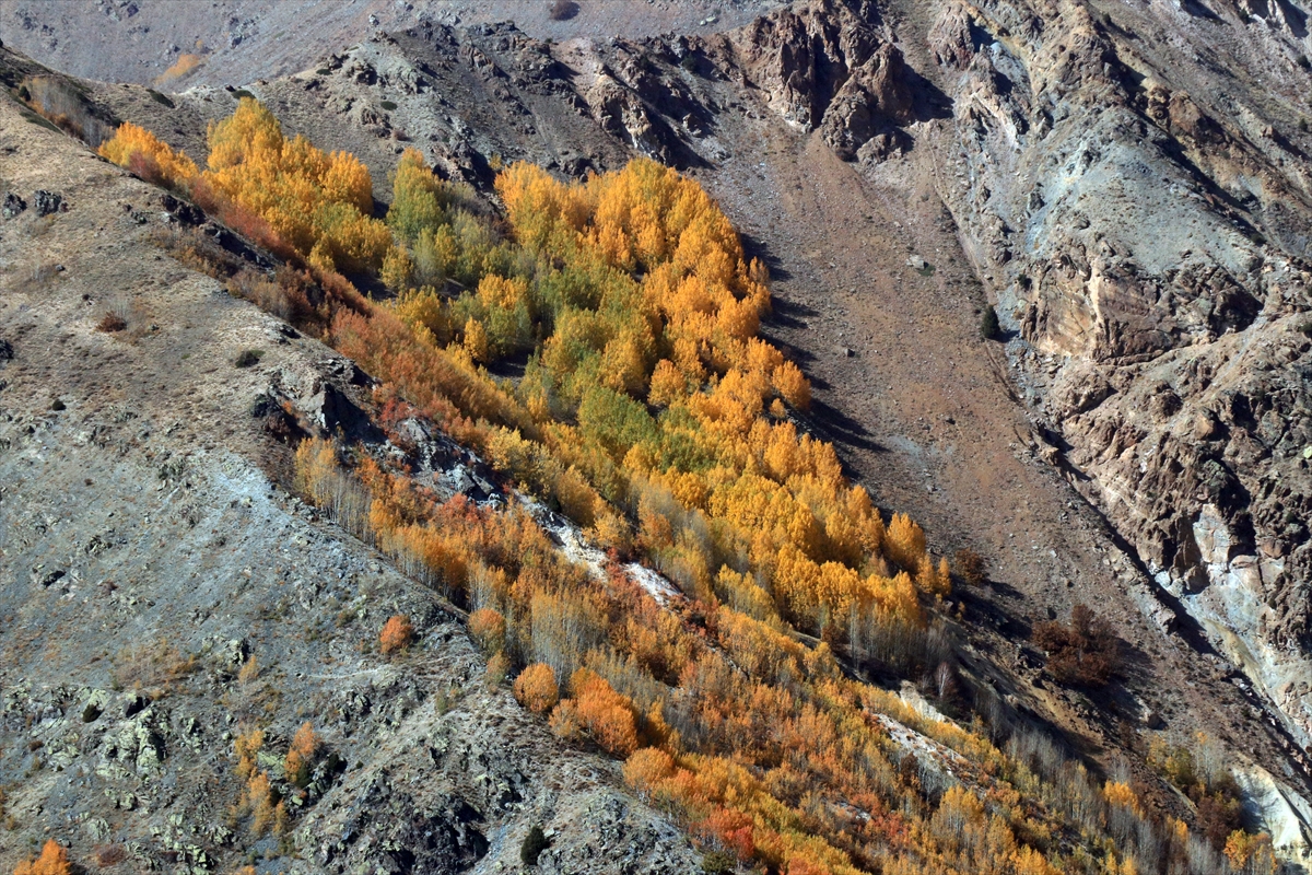 Erzincan'ın yüksek kesimlerinde sonbahar renkleri havadan görüntülendi
