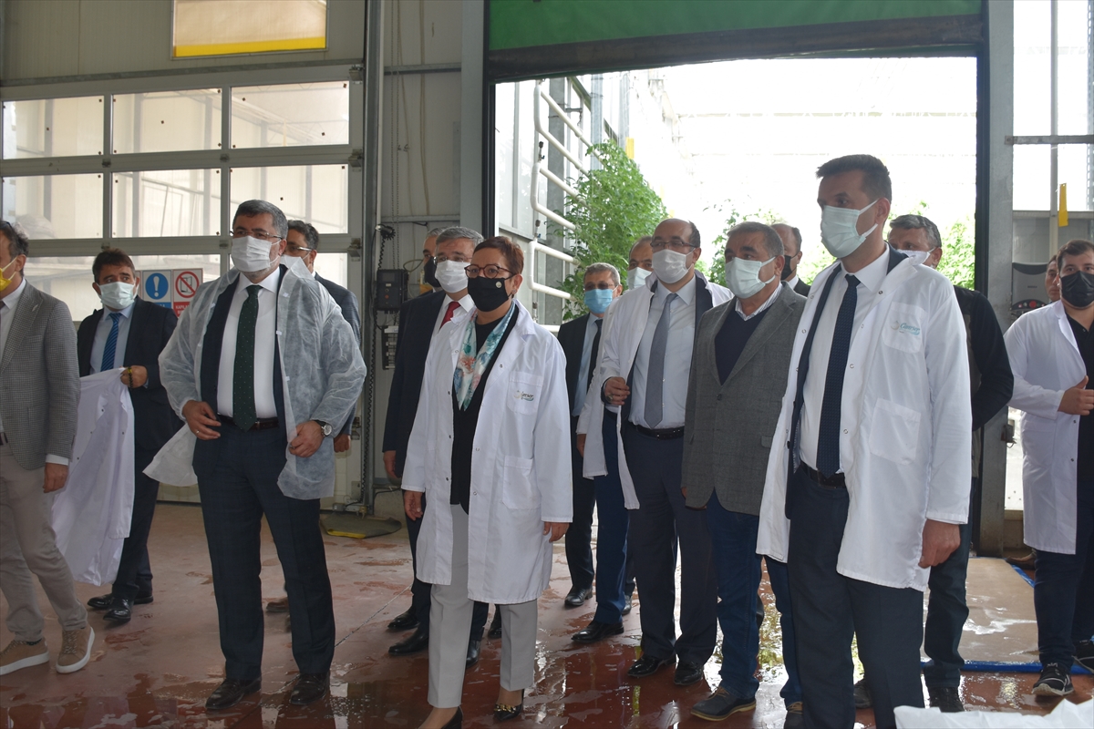 Tarım ve Orman Bakan Yardımcısı Işıkgece, Afyonkarahisar'da ziyaretlerde bulundu