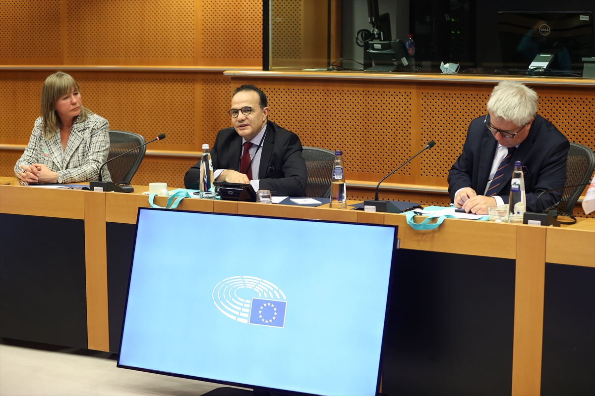 Avrupa Parlamentosu'nda TÜRKSOY organizasyonuyla “Hive Kültür Günleri” düzenlendi