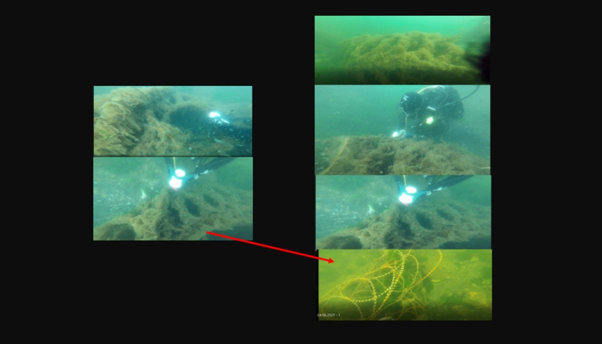 İstanbul Üniversitesi, yüzeyin ardından dipteki müsilajı da temizlemeyi başardı