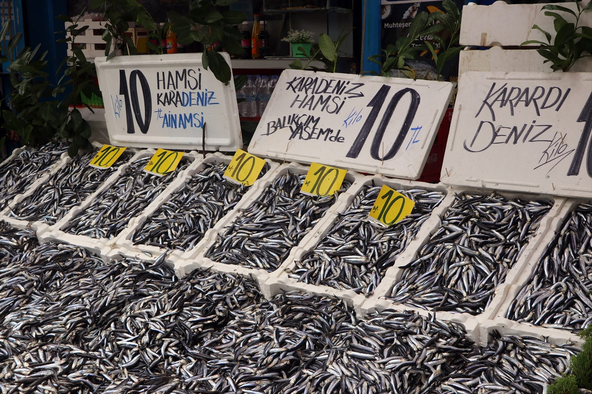 Kilosu 10 liraya düşen hamsi balık pazarlarını hareketlendirdi