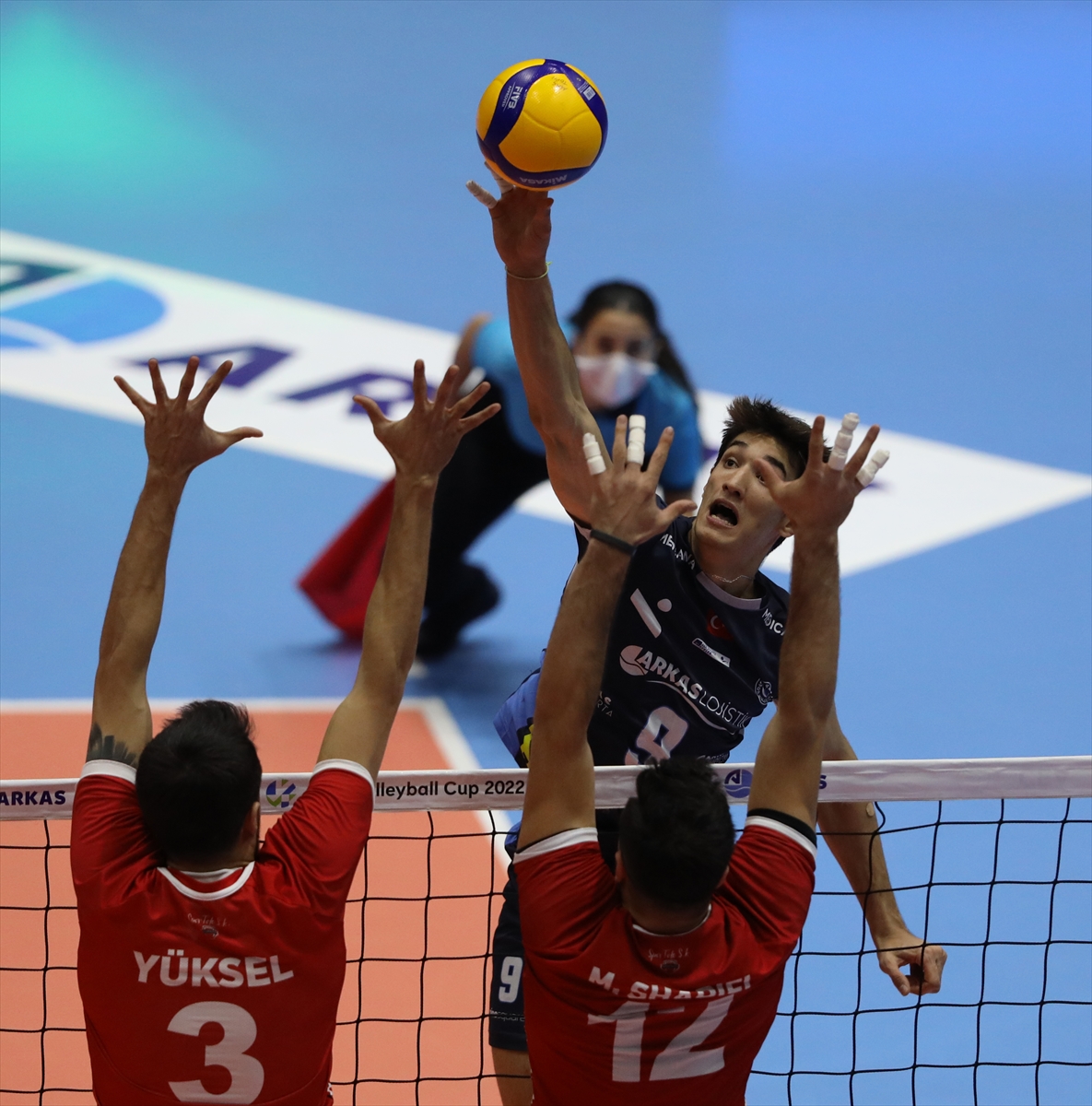Voleybol: Erkekler CEV Kupası