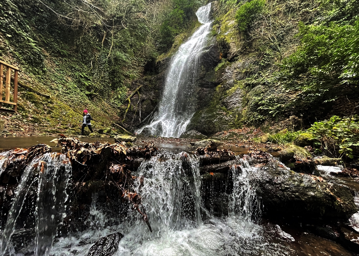 Düzce'de yeni keşfedilen şelale turizme kazandırıldı