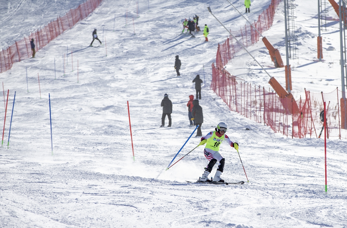 Kayak Alp Disiplini FIS Anadolu Kupası