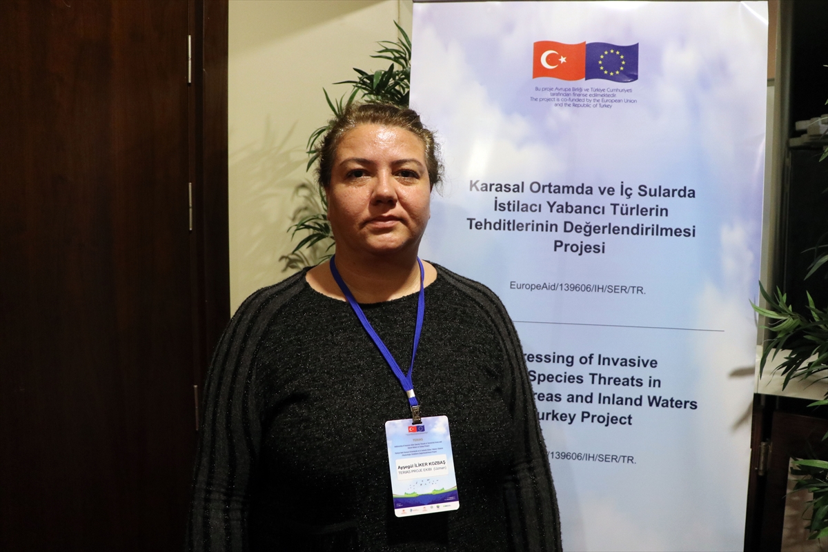 “Su maymunları Edirne'deki ekosisteme ve çeltik üretimine zarar veriyor” uyarısı