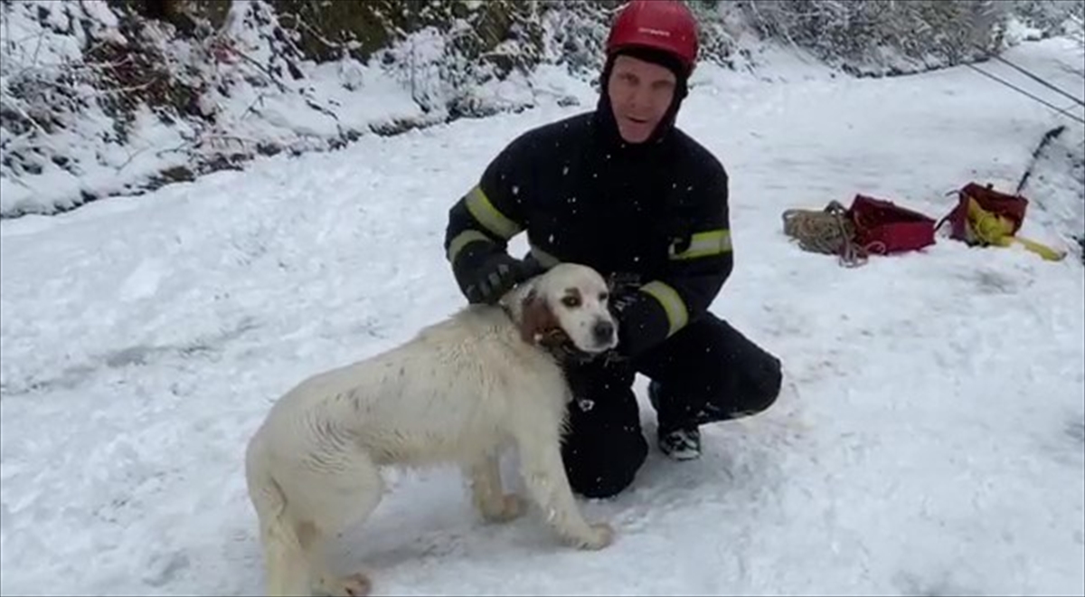 Ordu'da şarampole devrilen otomobilin sürücüsü yaralandı