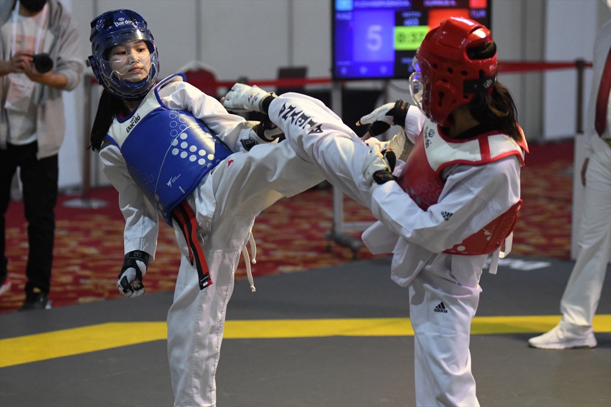 9. Uluslararası Türkiye Açık Tekvando Turnuvası