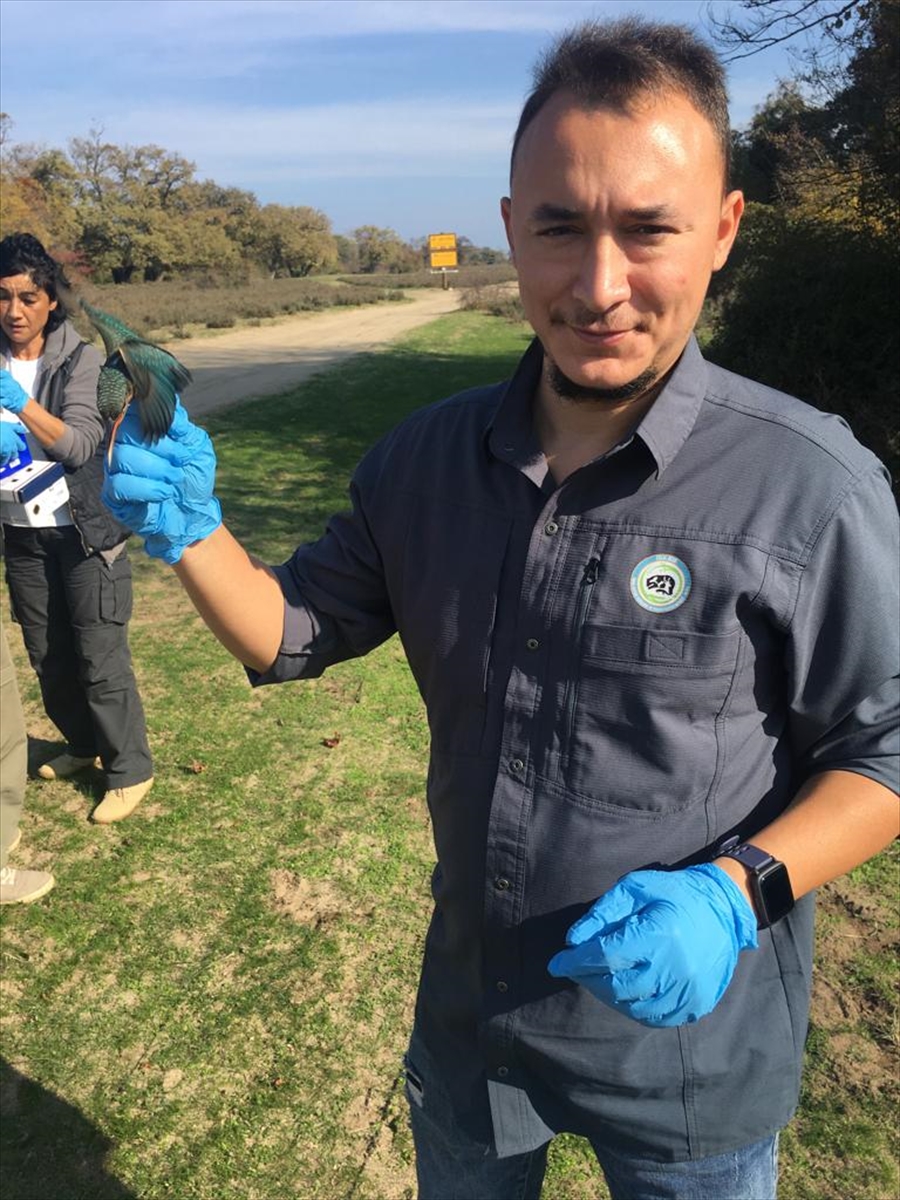 Bursa'da geçen yıl 335 yaban hayvanı tedavi edilerek doğaya salındı