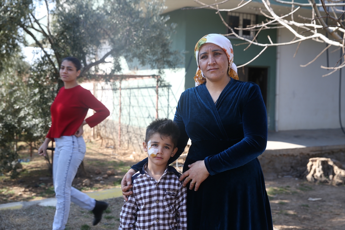 Mardin'de köpeklerin saldırdığı 4'ü çocuk 7 kişi taburcu edildi