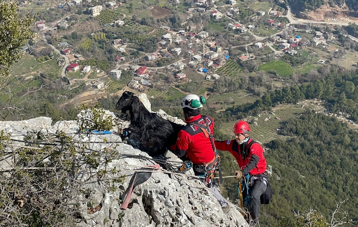 Mersin'de kayalıklarda mahsur kalan keçiyi AKUT ekipleri kurtardı