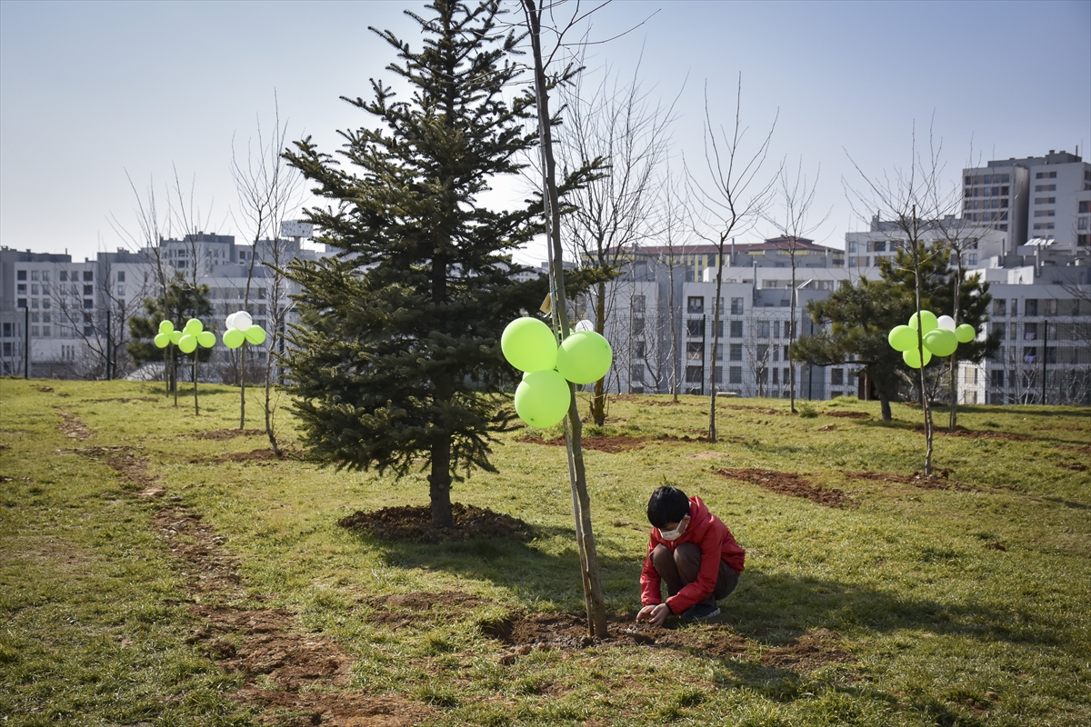 AK Parti İstanbul İl Başkanlığı okul bahçesine 112 çınar fidanı dikti