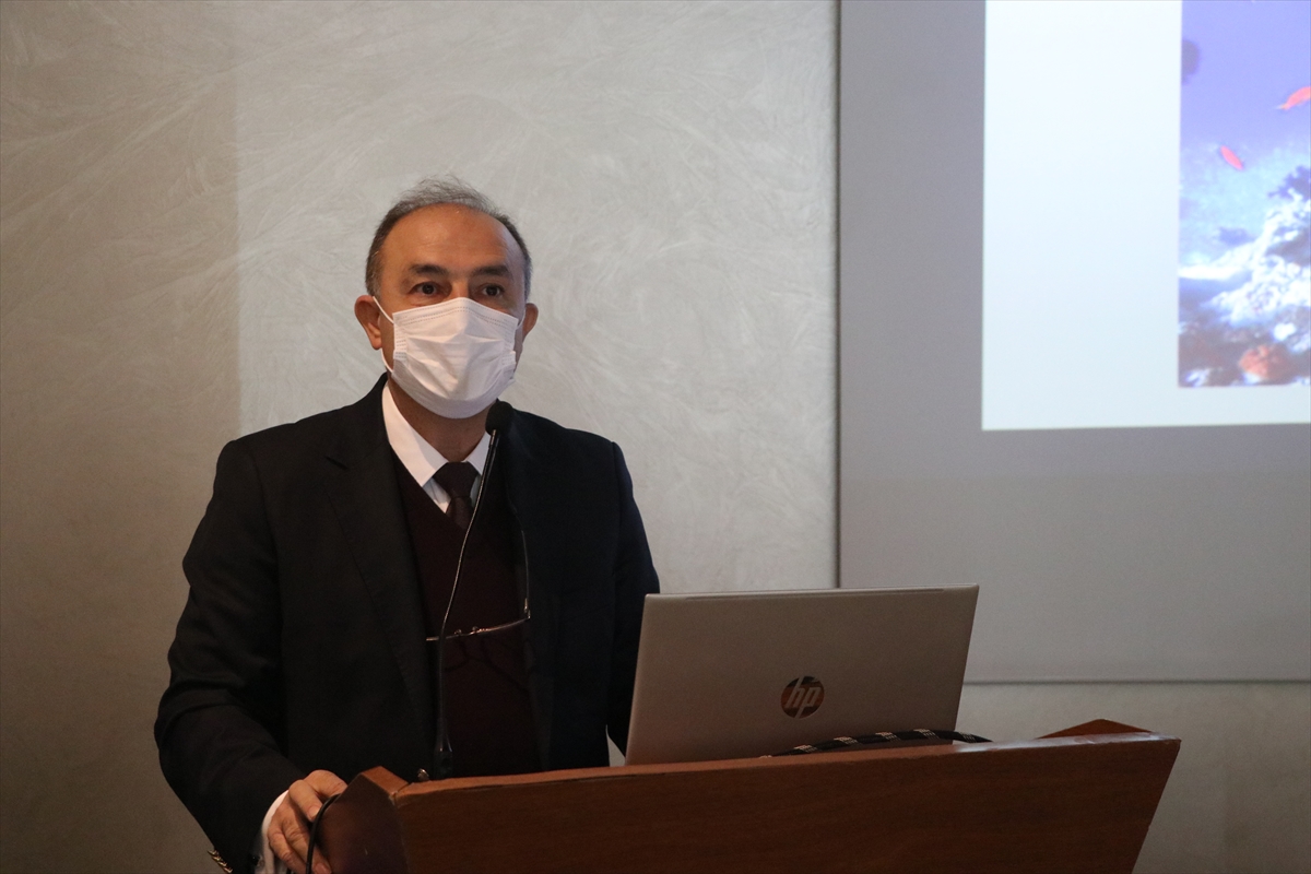 Avrupa “buzul dönemi” tehlikesiyle karşı karşıya