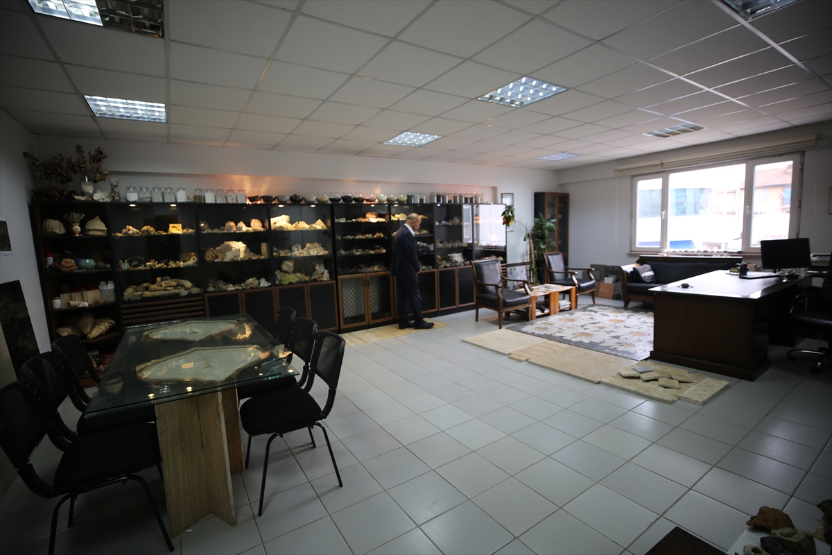 Elazığlı mühendis deniz canlısına ait “milyon yıllık” fosili iş yerinde sergiliyor