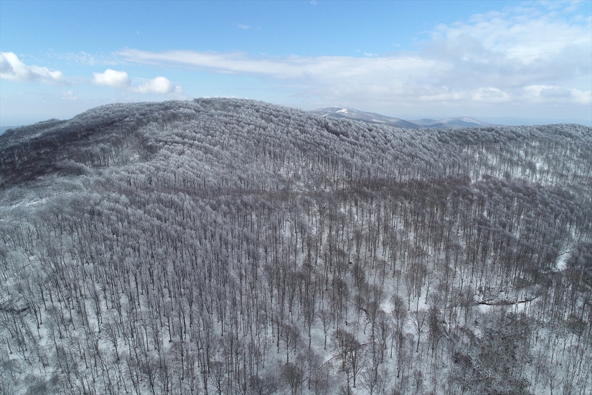 Istranca ormanları kar yağışının ardından havadan görüntülendi
