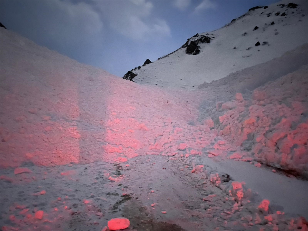 Van'ın Başkale ilçesinde mahalle yollarına çığ düştü