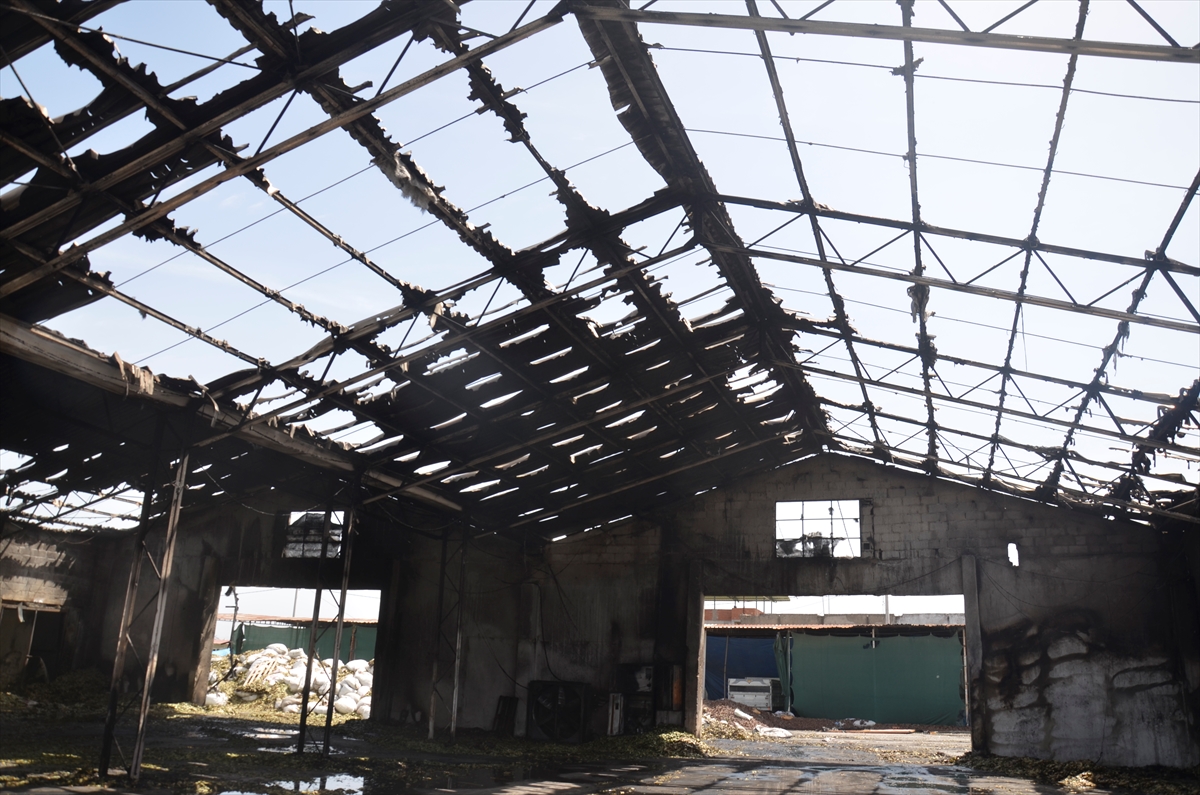 Aydın'da defne fabrikasında çıkan yangın söndürüldü