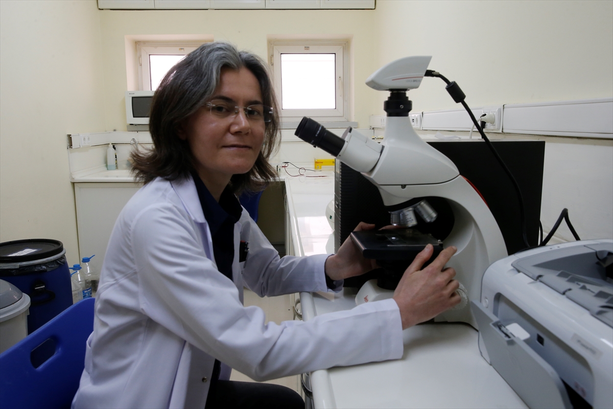 Bilim insanının polislikten başlayıp Antarktika'ya uzanan başarı hikayesi