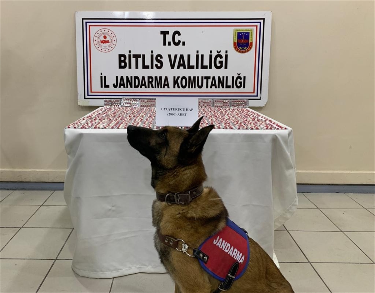 Bitlis'te 2 bin 800 sentetik uyuşturucu hap ele geçirildi