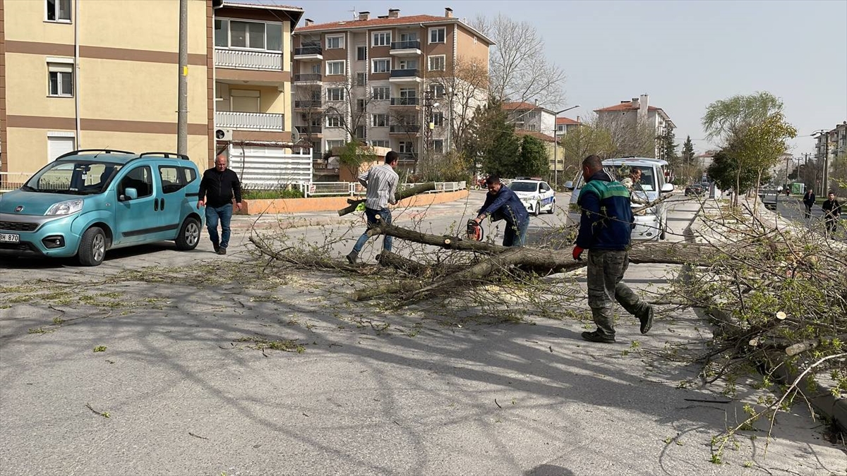 Edirne'de fırtına etkili oluyor