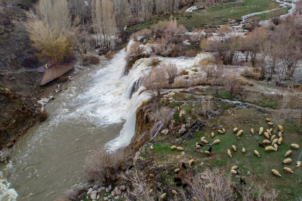 Eriyen karlar Muradiye Şelalesi'ni coşturdu