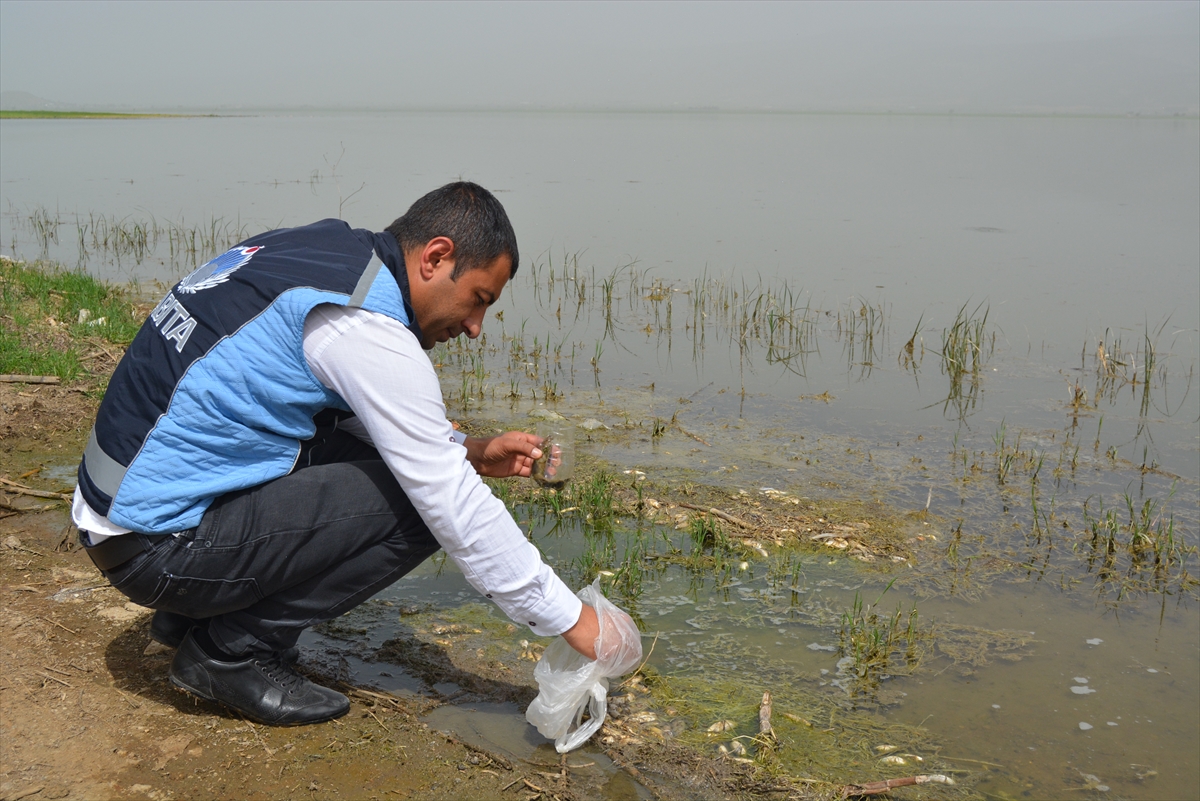 Gaziantep'te Tahtaköprü Barajı'ndaki balık ölümleriyle ilgili inceleme başlatıldı