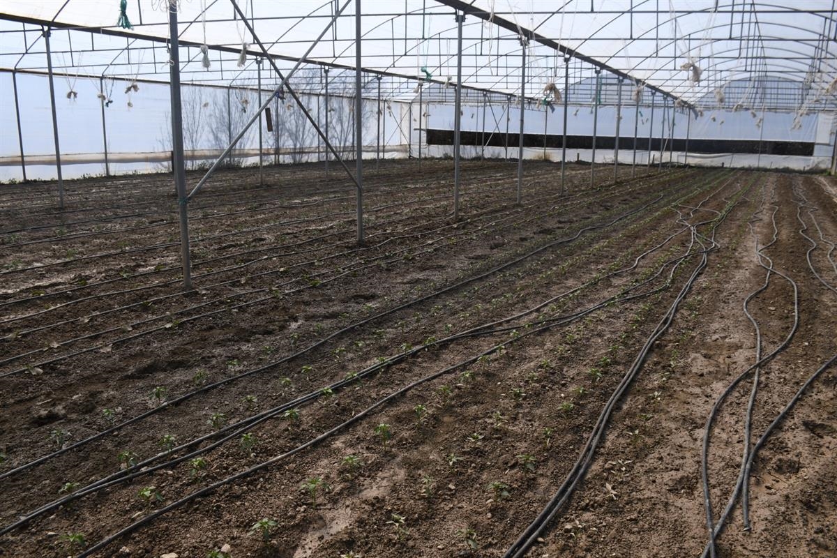 Karabük Valisi Gürel, sağanak nedeniyle su altında kalan tarım arazilerini inceledi