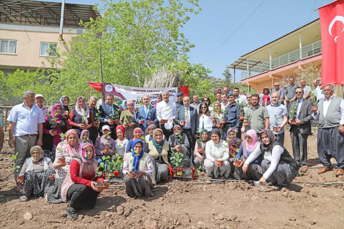 Mersin'de kadın üreticiler aronya üretimine başladı