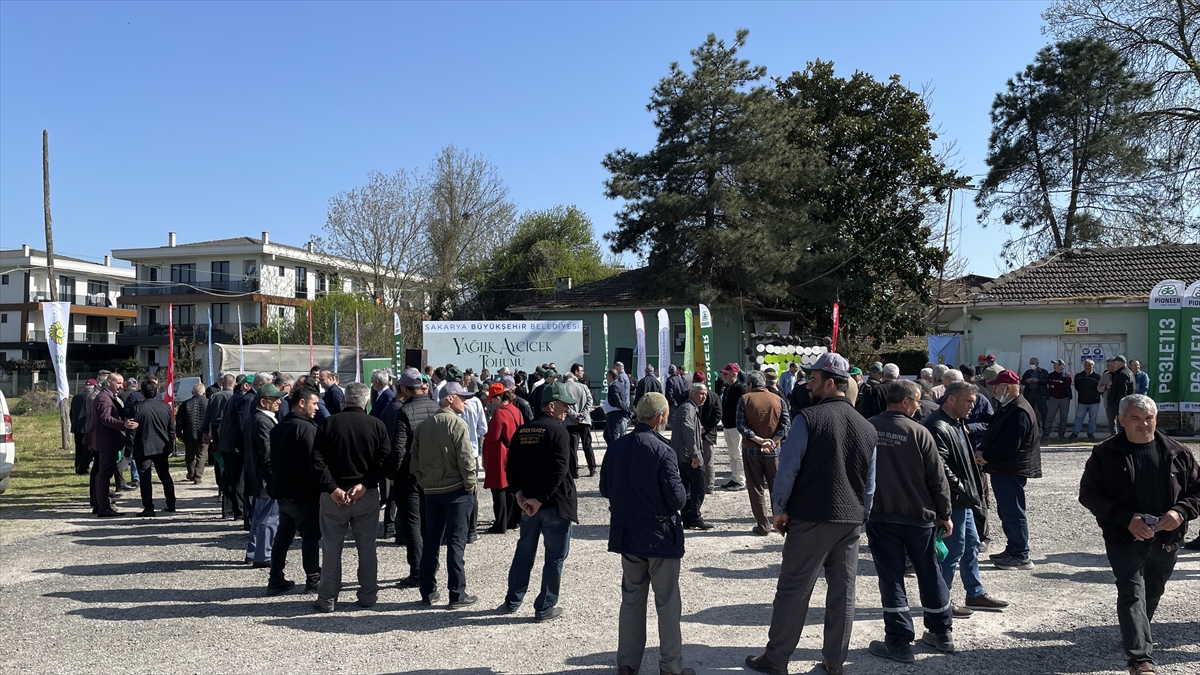 Sakarya'da 1000 çiftçiye 10 bin 640 kilogram yağlık ayçiçeği tohumu dağıtıldı