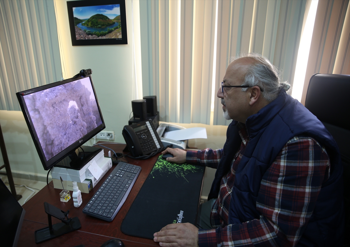 Van Gölü kıyısındaki mikrobiyalitler turizmde yeni rota oluşturabilir