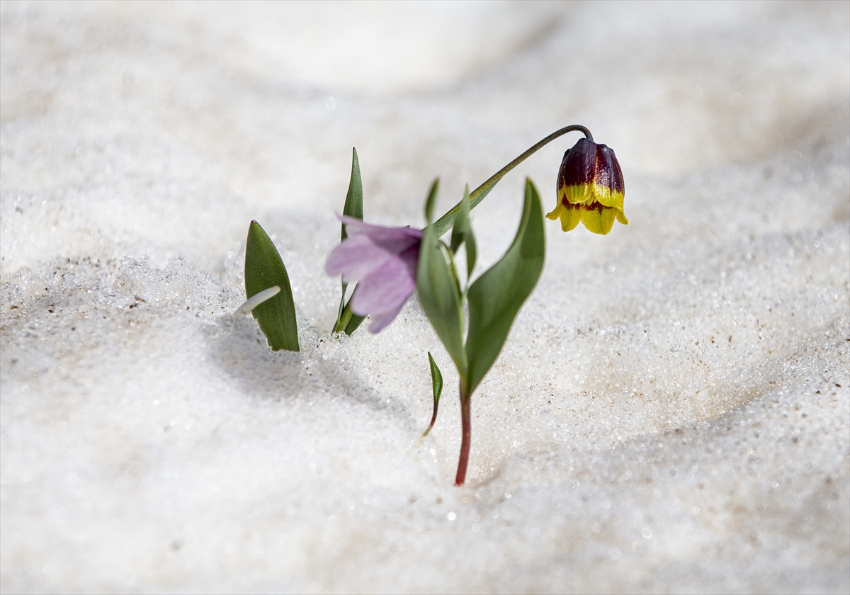 Borçlanmak Tehlikelidir!..
