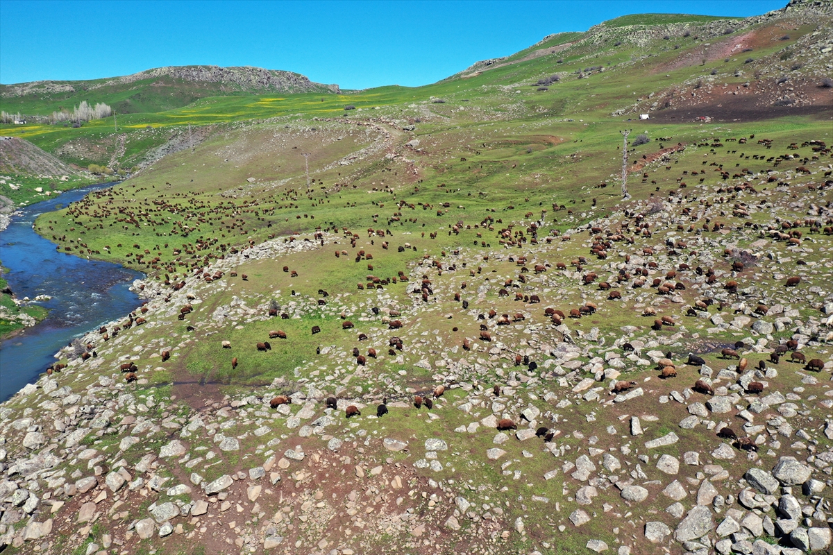 Iğdır'dan Ağrı yaylalarına göçerlerin yolculuğu başladı