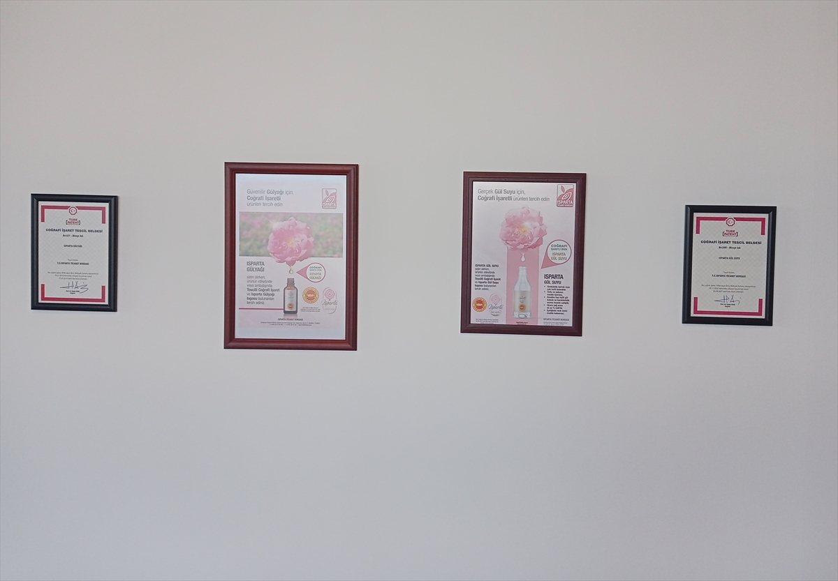 Isparta elması için coğrafi işaret başvurusu yapıldı