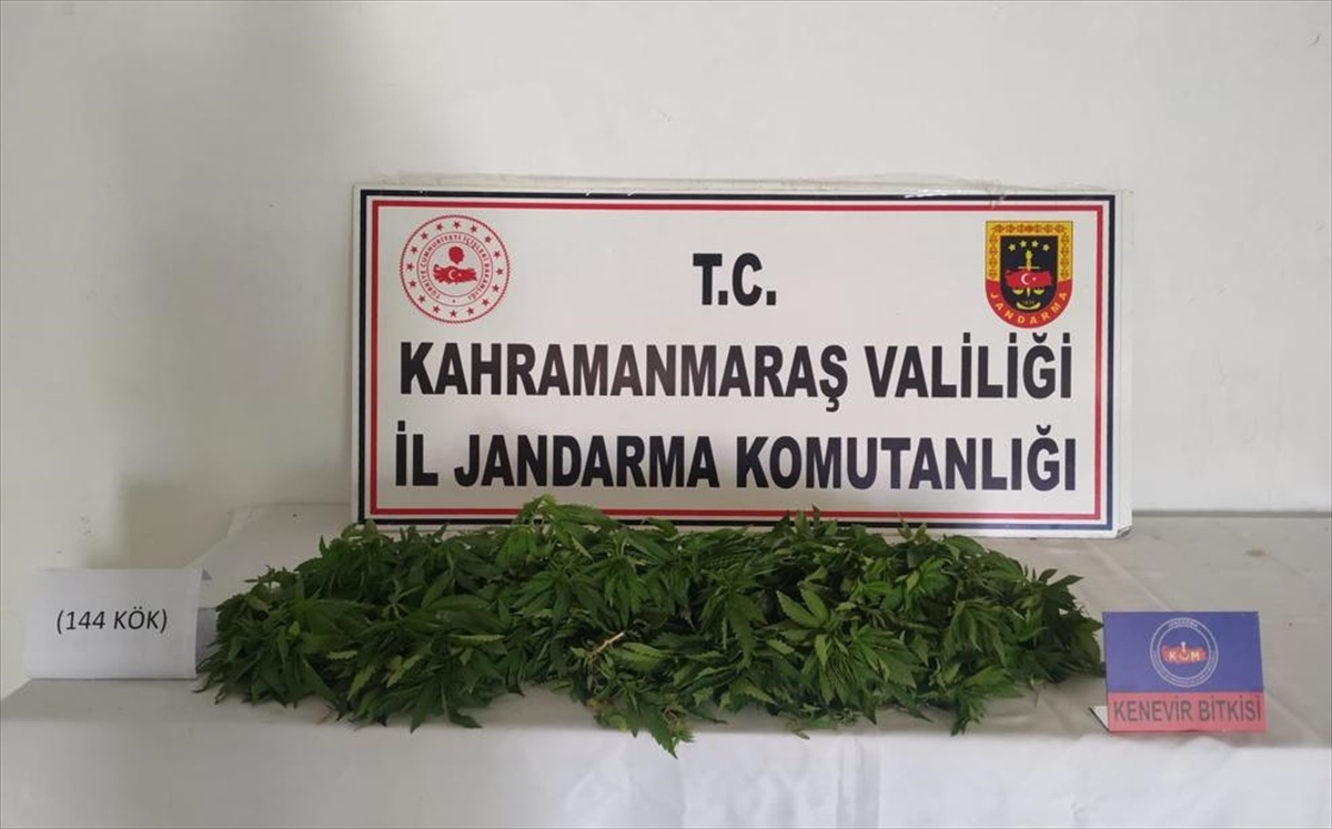 Kahramanmaraş'ta uyuşturucu operasyonunda bir kişi gözaltına alındı