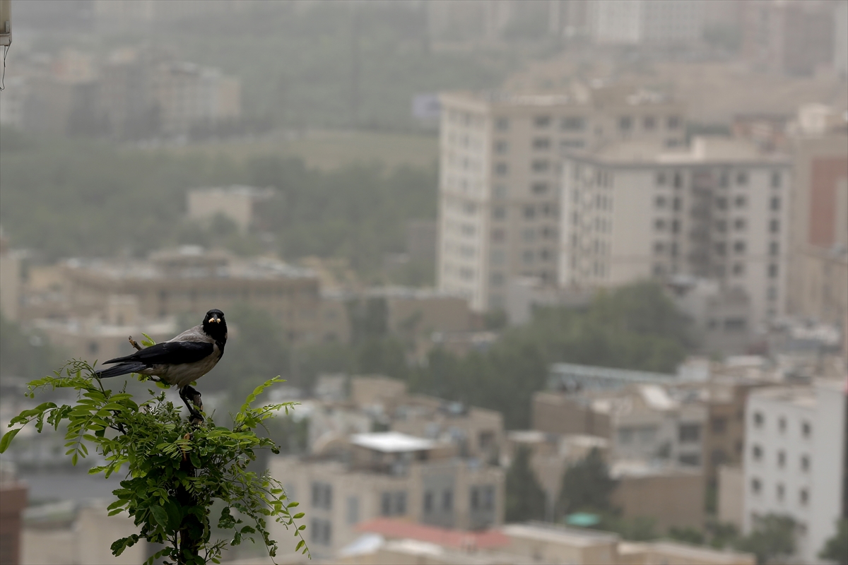 Tahran'da eğitime hava kirliliği engeli