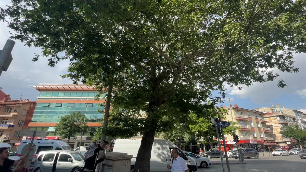 Ağaçtan düşen karga yavrusunu vatandaşlar ağaca bıraktı