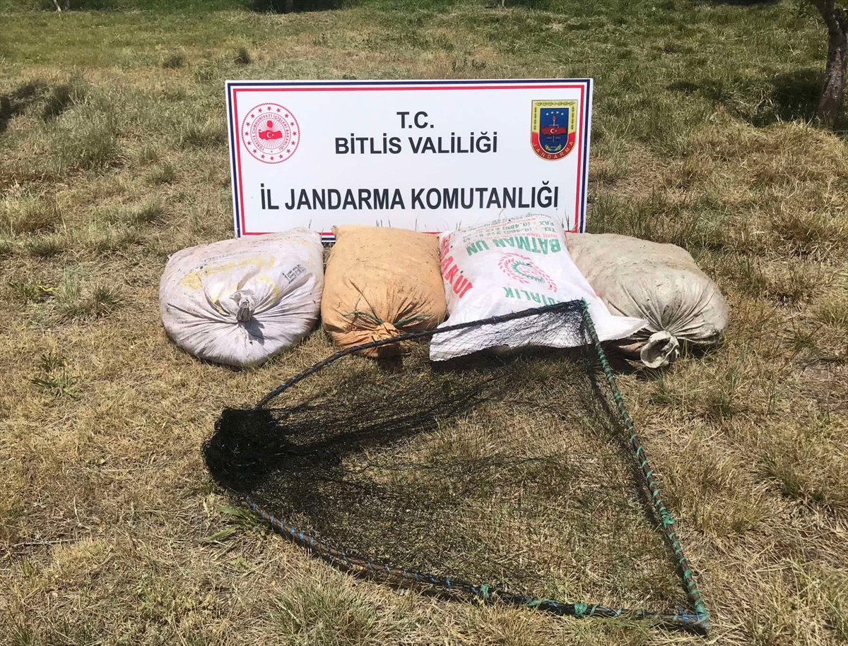 Bitlis'te kaçak avlanılan 2 ton 350 kilogram inci kefaline el konuldu
