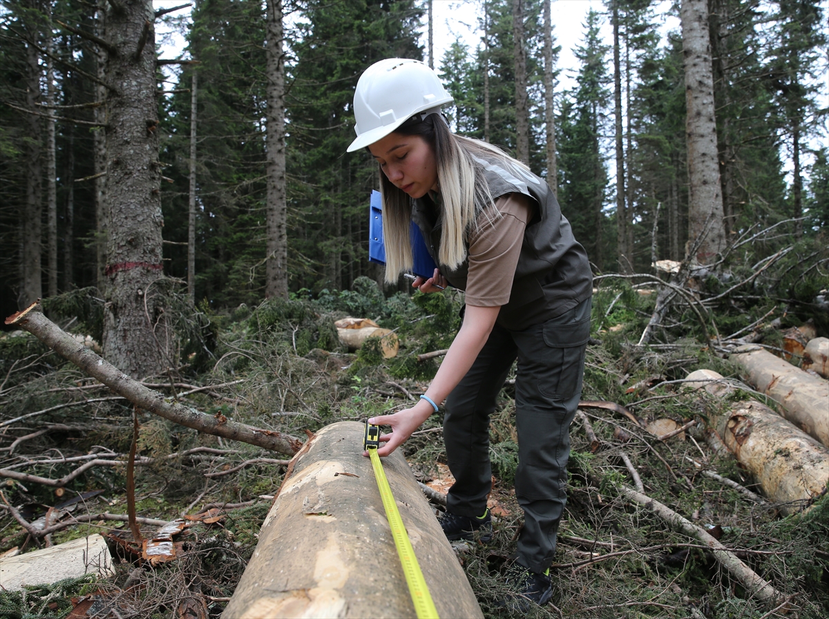 Çocukluğundan beri sevgi beslediği ormanlara gözü gibi bakıyor