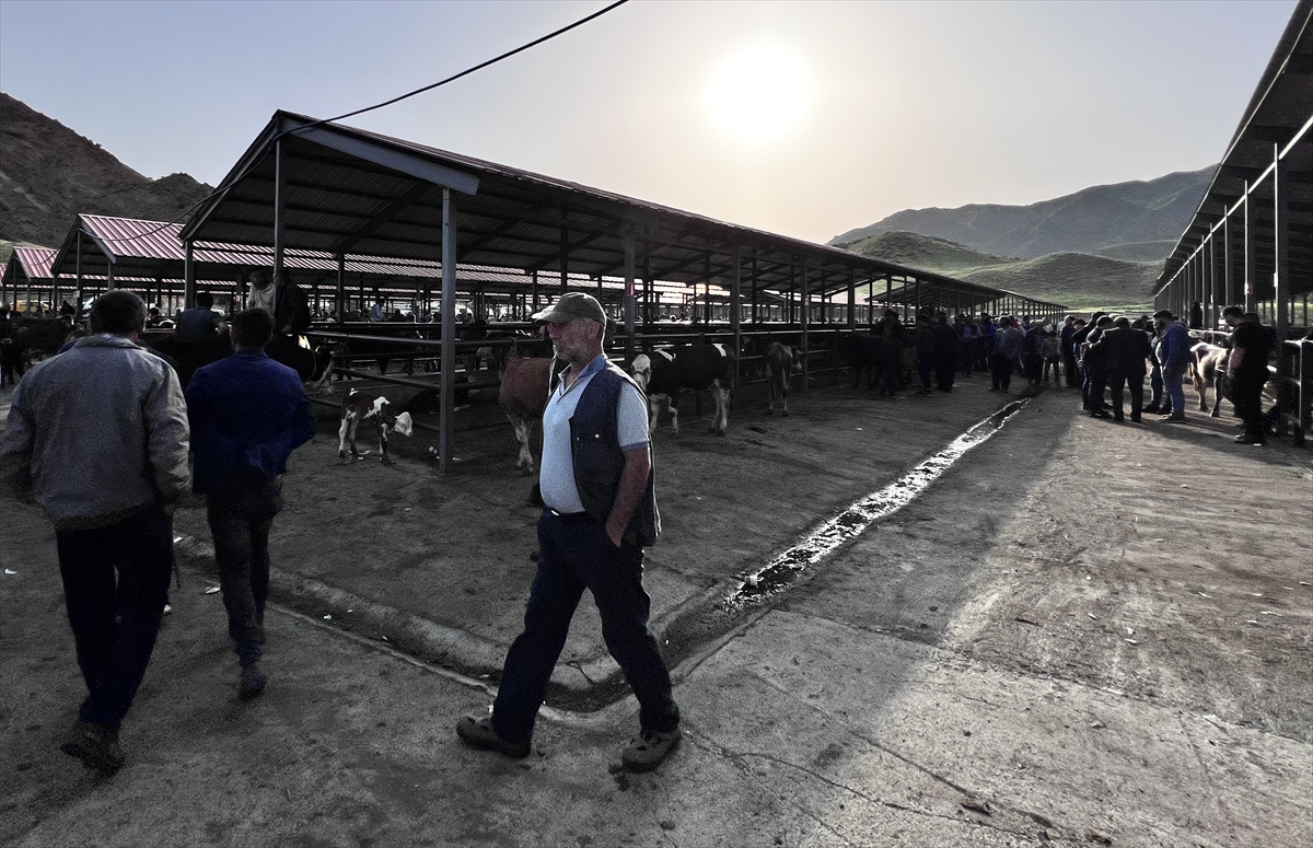 Erzurum'daki hayvan pazarlarında kurban hareketliliği başladı