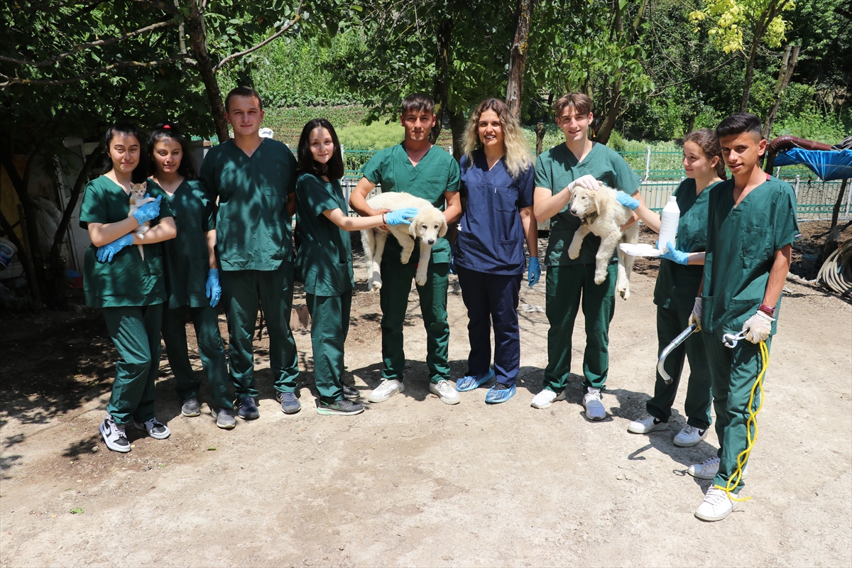 Geleceğin veteriner sağlık teknisyenleri sahada mesleğin inceliklerini öğreniyor