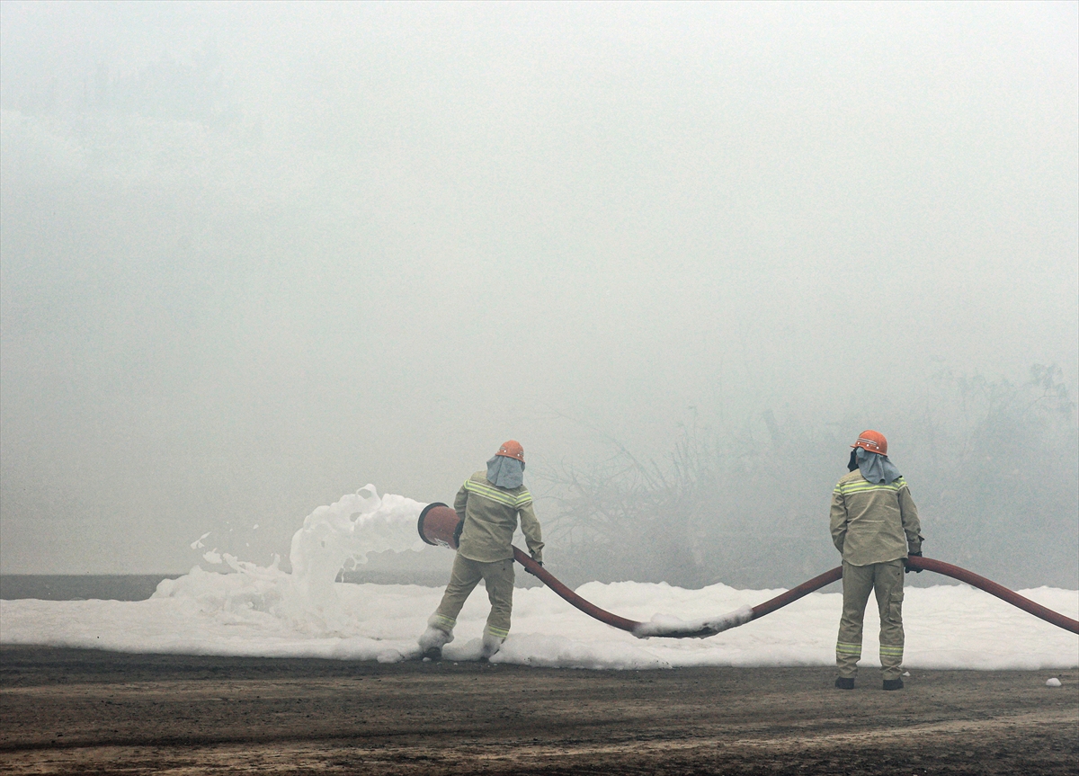 İnsan doğduk da olabildik mi?