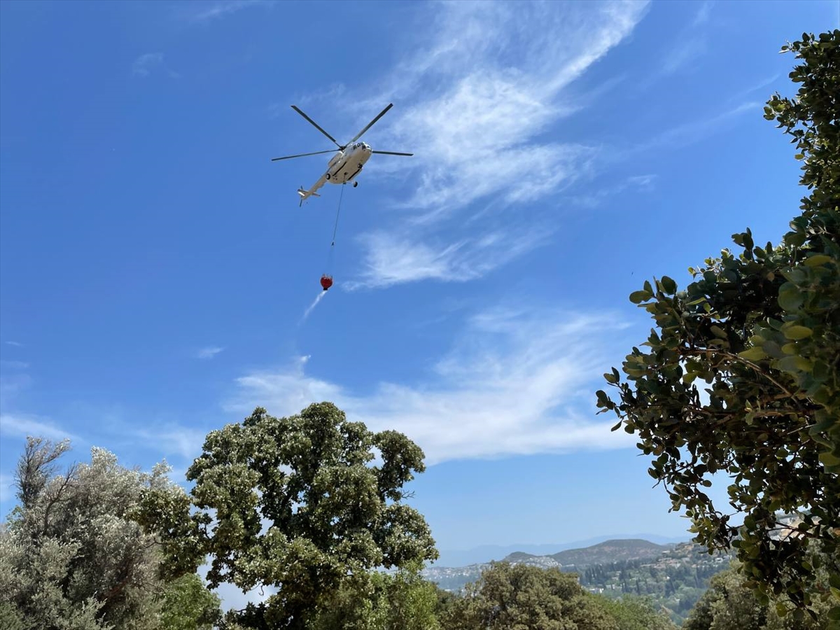 Muğla'da yerleşim yerlerine yakın makilik alanda yangın çıktı