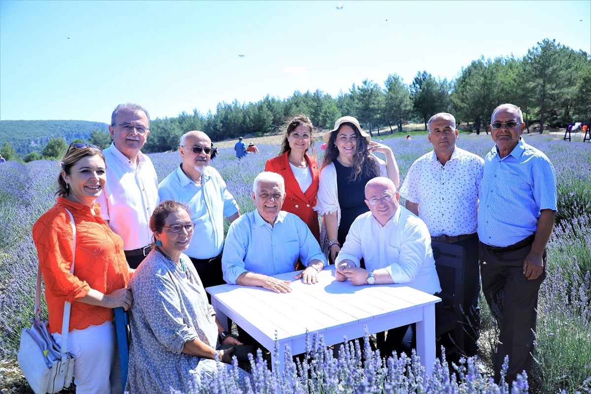 Muğla'daki mor tarlalarda lavanta hasadı başladı