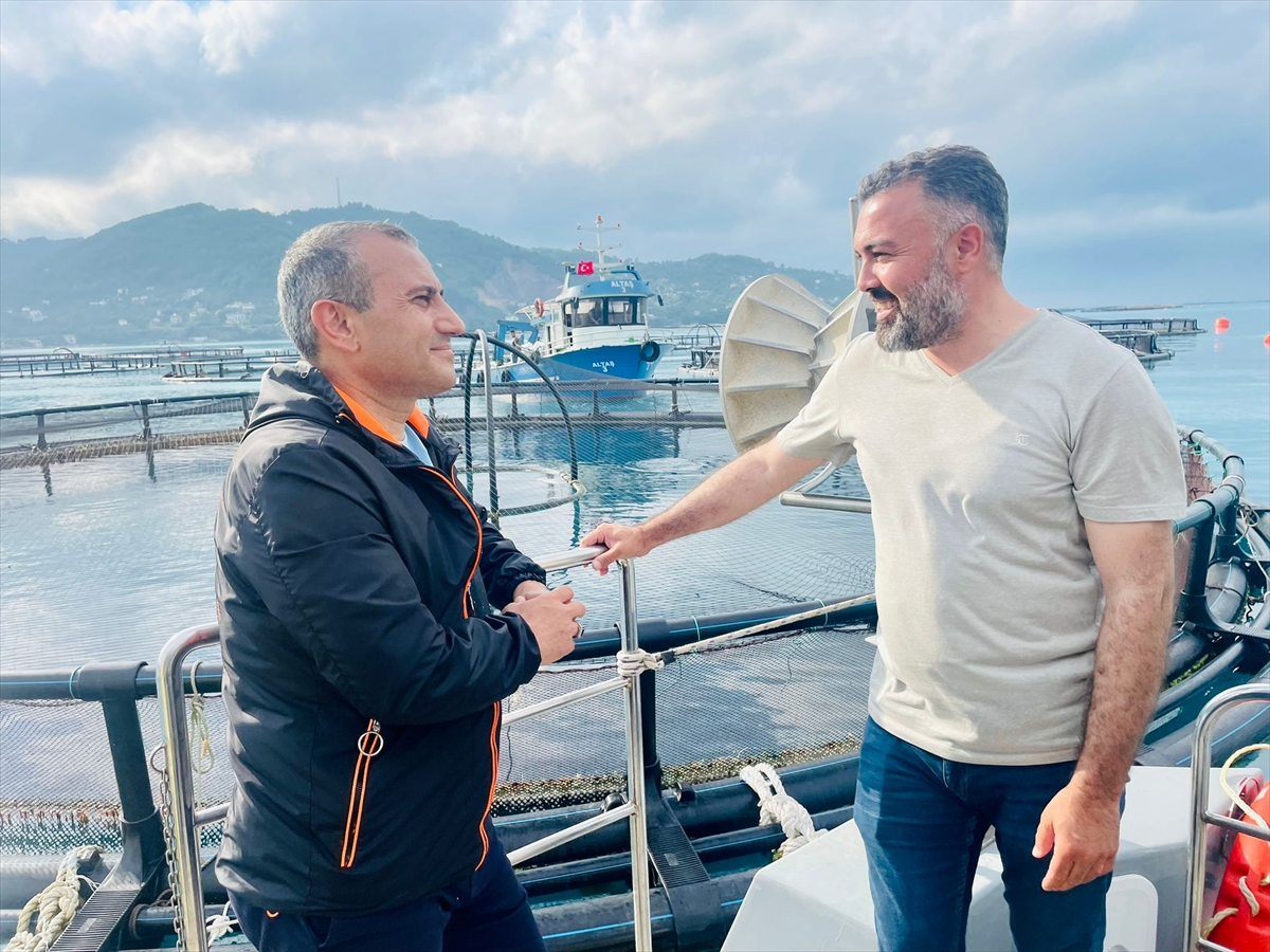 Ordu'dan Rusya ve Japonya'ya Türk somonu ihracatı