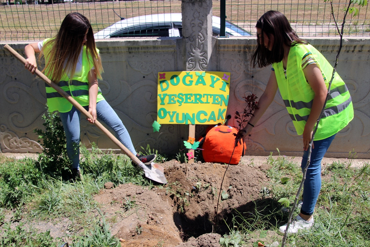 Sivas'ta lise öğrencileri yaptıkları oyuncakların geliriyle meyve fidanı dikti