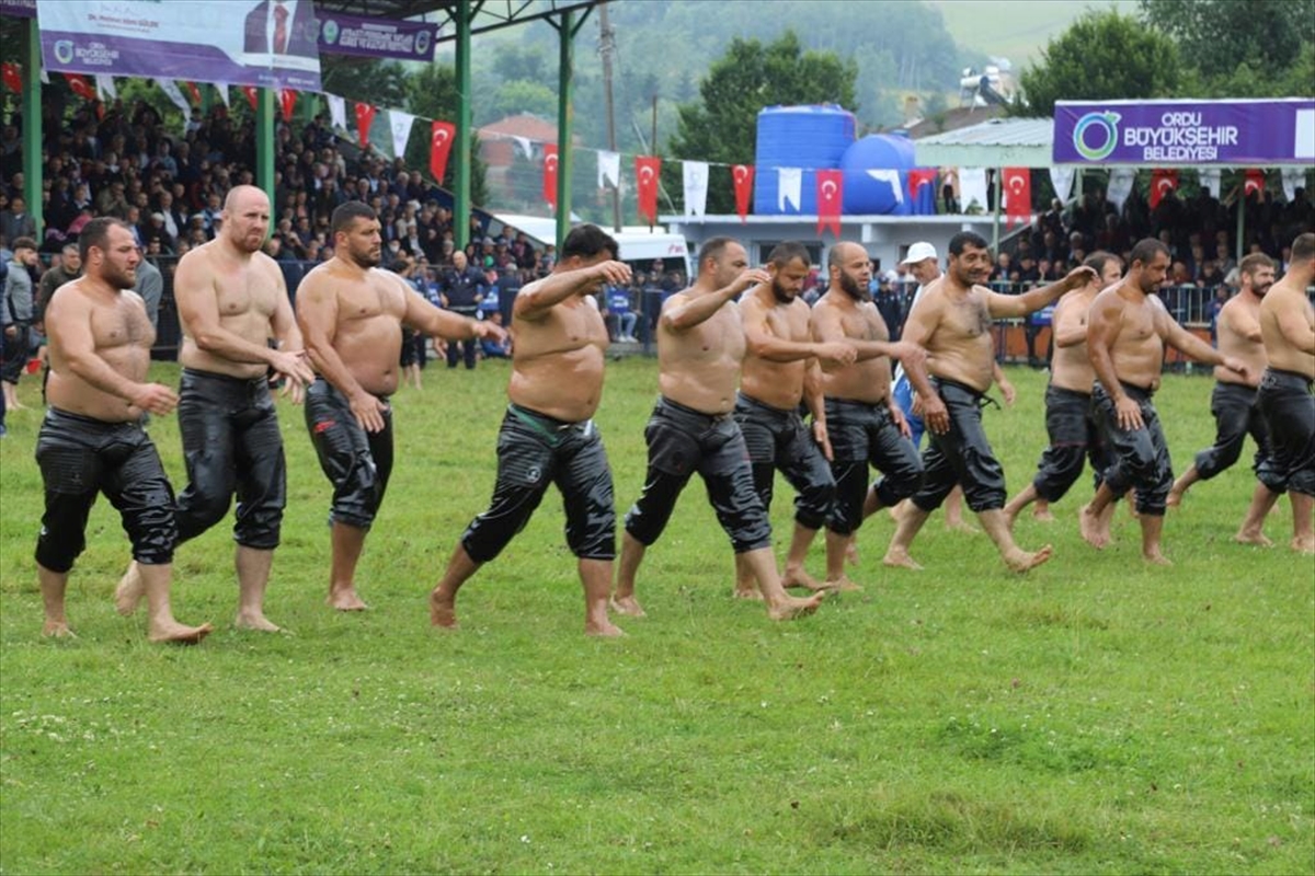 914. Aybastı Perşembe Yaylası Festivali'nde başpehlivan Recep Kara oldu