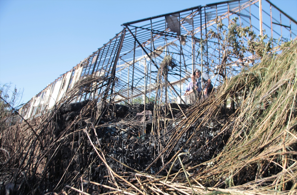 Antalya'da otluk ve sazlık alanda çıkan yangın söndürüldü