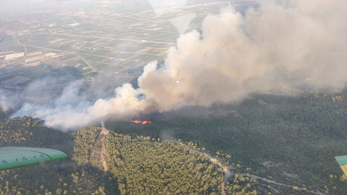 Aydın'da çıkan orman yangınına müdahale ediliyor
