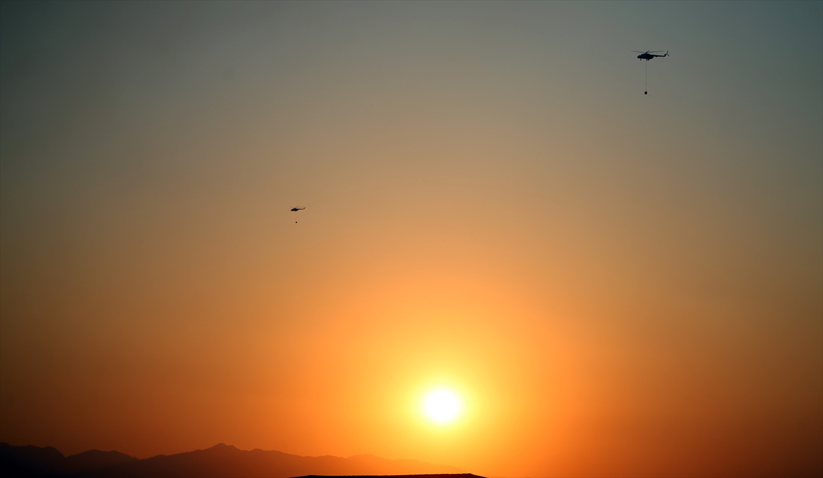 Aydın'daki orman yangınına müdahale sürüyor