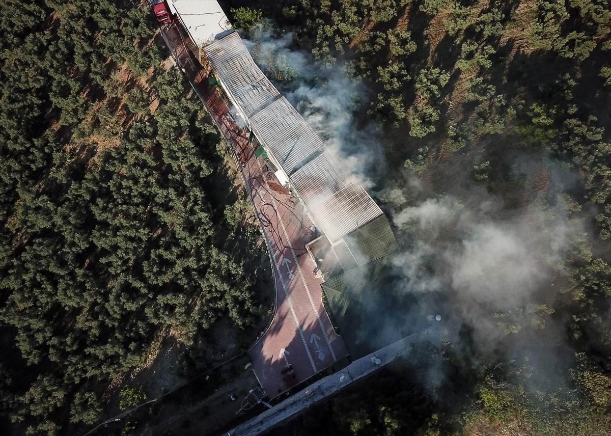 Bursa'da çiftlikte çıkan yangında çok sayıda tavuk ve koyun telef oldu