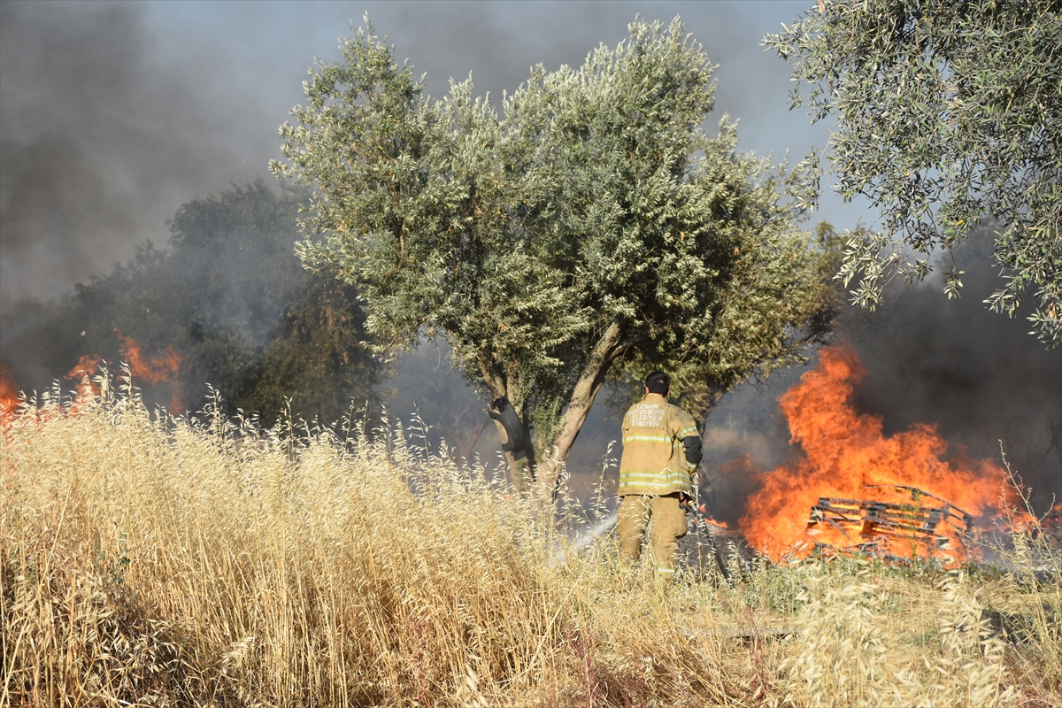 İzmir'de palet imalathanesinde çıkan yangın söndürüldü